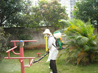 2012年南寧兩會一節(jié)加強“四害”消殺工作